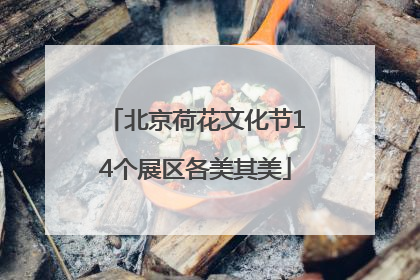 北京荷花文化节14个展区各美其美