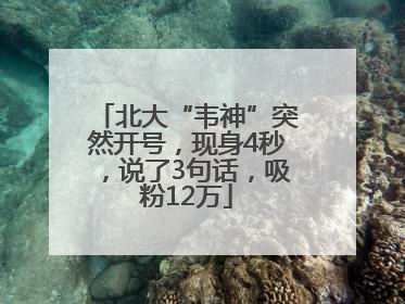 北大“韦神”突然开号，现身4秒，说了3句话，吸粉12万