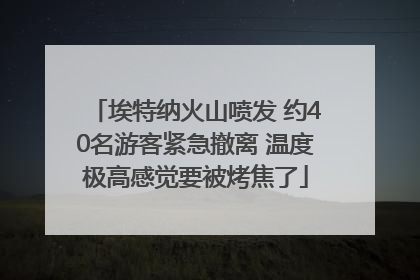 埃特纳火山喷发 约40名游客紧急撤离 温度极高感觉要被烤焦了
