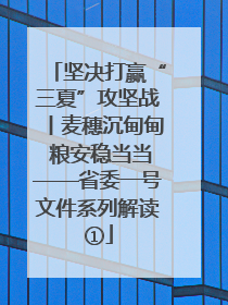 坚决打赢“三夏”攻坚战丨麦穗沉甸甸 粮安稳当当——省委一号文件系列解读①