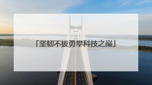 坚韧不拔勇攀科技之巅