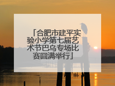 合肥市建平实验小学第七届艺术节巴乌专场比赛圆满举行