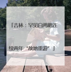 吉林：罕见白鸬鹚连续两年“故地重游”