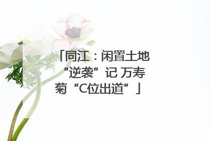 同江：闲置土地“逆袭”记 万寿菊“C位出道”