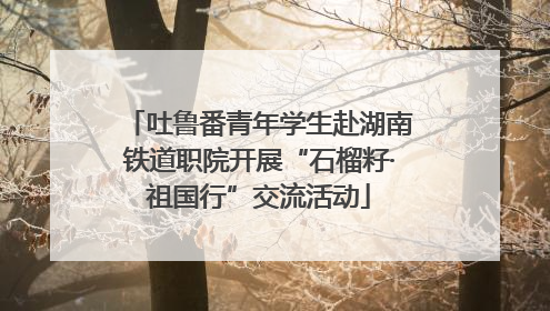 吐鲁番青年学生赴湖南铁道职院开展“石榴籽·祖国行”交流活动