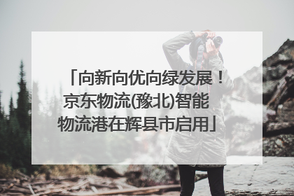 向新向优向绿发展！京东物流(豫北)智能物流港在辉县市启用
