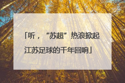 听，“苏超”热浪掀起江苏足球的千年回响