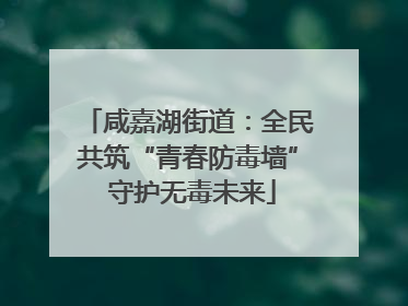 咸嘉湖街道：全民共筑“青春防毒墙” 守护无毒未来