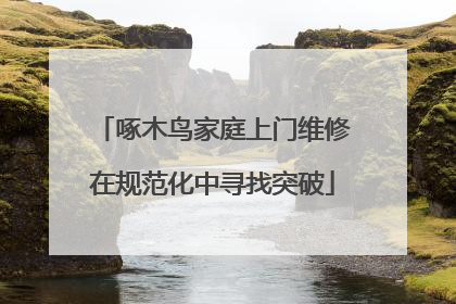 啄木鸟家庭上门维修在规范化中寻找突破