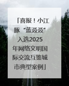 喜报！小江豚“蓝叒叒”入选2025年网络文明国际交流互鉴城市典型案例