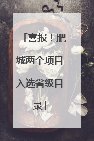 喜报！肥城两个项目入选省级目录