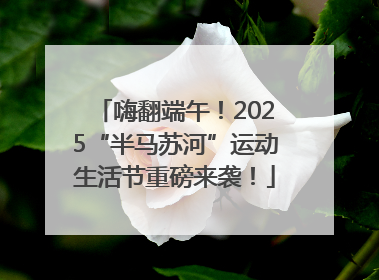 嗨翻端午！2025“半马苏河”运动生活节重磅来袭！