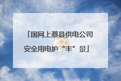 国网上蔡县供电公司安全用电护“丰”景
