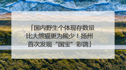国内野生个体现存数量比大熊猫更为稀少！扬州首次发现“国宝”彩鹮