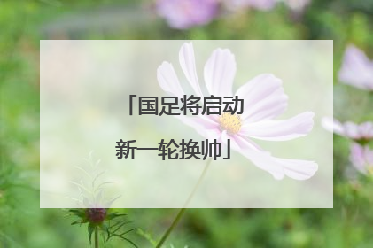 国足将启动新一轮换帅