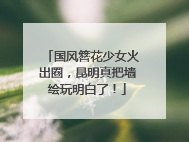 国风簪花少女火出圈，昆明真把墙绘玩明白了！