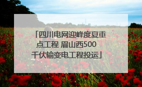 四川电网迎峰度夏重点工程 眉山西500千伏输变电工程投运