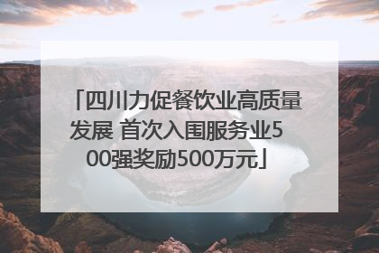 四川力促餐饮业高质量发展 首次入围服务业500强奖励500万元