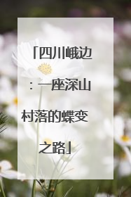 四川峨边：一座深山村落的蝶变之路