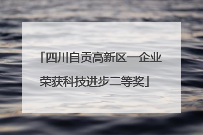 四川自贡高新区一企业荣获科技进步二等奖