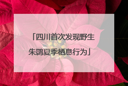 四川首次发现野生朱鹮夏季栖息行为