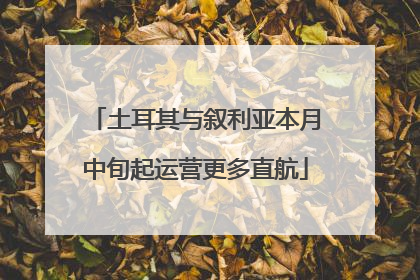 土耳其与叙利亚本月中旬起运营更多直航