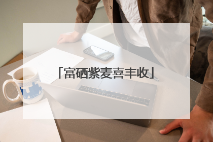 富硒紫麦喜丰收