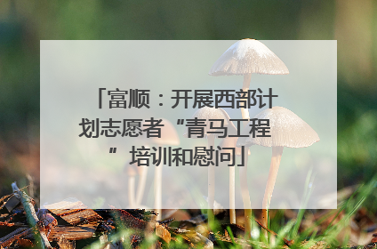 富顺：开展西部计划志愿者“青马工程”培训和慰问