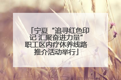 宁夏“追寻红色印记 汇聚奋进力量”职工区内疗休养线路推介活动举行
