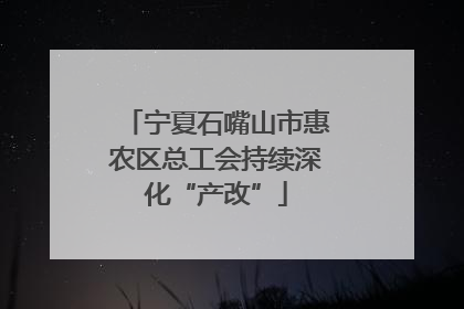 宁夏石嘴山市惠农区总工会持续深化“产改”