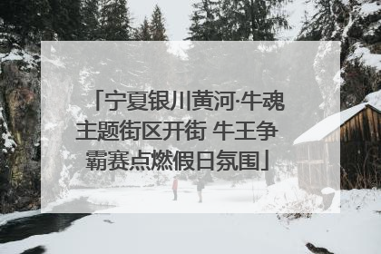 宁夏银川黄河·牛魂主题街区开街 牛王争霸赛点燃假日氛围