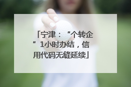 宁津：“个转企”1小时办结，信用代码无缝延续