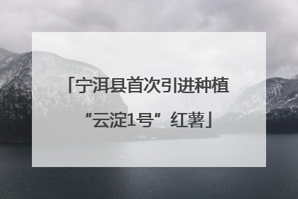 宁洱县首次引进种植“云淀1号”红薯