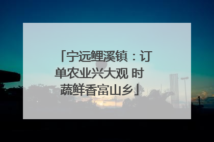 宁远鲤溪镇：订单农业兴大观 时蔬鲜香富山乡