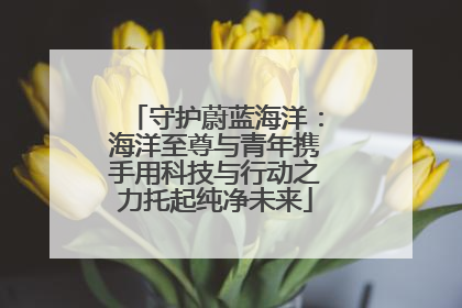 守护蔚蓝海洋：海洋至尊与青年携手用科技与行动之力托起纯净未来