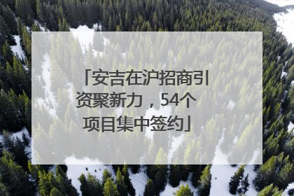安吉在沪招商引资聚新力，54个项目集中签约