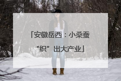 安徽岳西：小桑蚕“织”出大产业