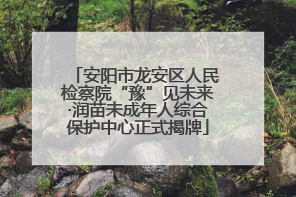 安阳市龙安区人民检察院“豫”见未来·润苗未成年人综合保护中心正式揭牌