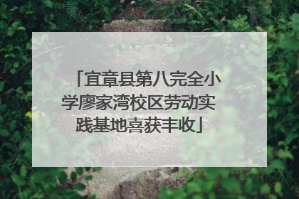 宜章县第八完全小学廖家湾校区劳动实践基地喜获丰收