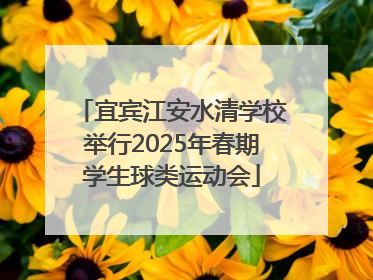 宜宾江安水清学校举行2025年春期学生球类运动会