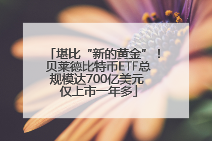 堪比“新的黄金”！贝莱德比特币ETF总规模达700亿美元 仅上市一年多