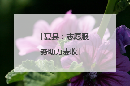 夏县：志愿服务助力麦收