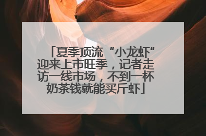 夏季顶流“小龙虾”迎来上市旺季，记者走访一线市场，不到一杯奶茶钱就能买斤虾