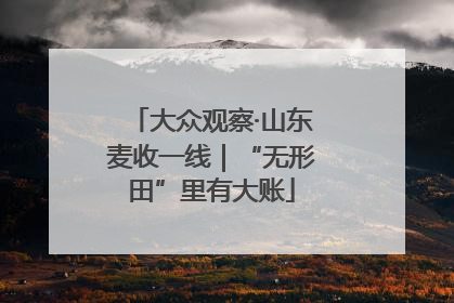 大众观察·山东麦收一线｜“无形田”里有大账