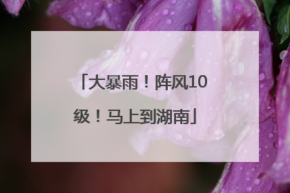 大暴雨！阵风10级！马上到湖南