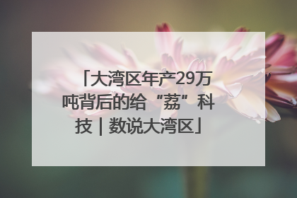 大湾区年产29万吨背后的给“荔”科技｜数说大湾区