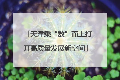 天津乘“数”而上打开高质量发展新空间