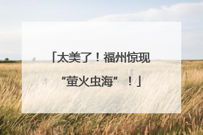 太美了！福州惊现“萤火虫海”！