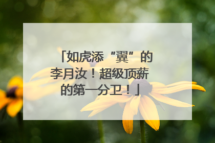 如虎添“翼”的李月汝！超级顶薪的第一分卫！