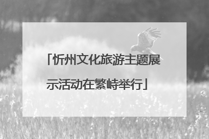 忻州文化旅游主题展示活动在繁峙举行